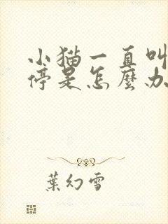 小猫一直叫个不停是怎么办