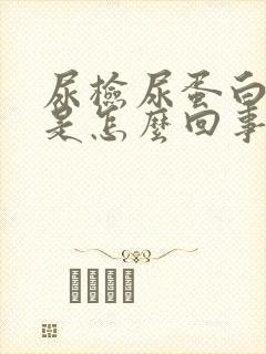 尿检尿蛋白阳性是怎么回事