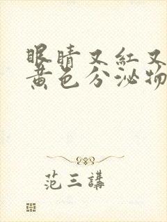 眼睛又红又痒有黄色分泌物