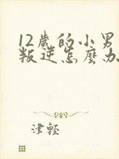 12岁的小男孩叛逆怎么办