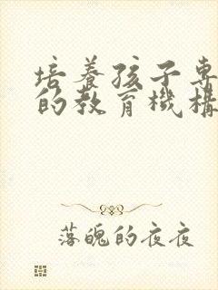 培养孩子专注力的教育机构