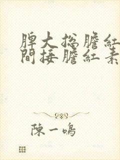 脾大总胆红素,间接胆红素高