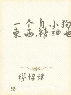 一个月小狗不吃东西,精神也不好,怎么办