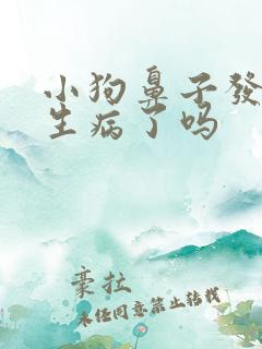 小狗鼻子发干是生病了吗