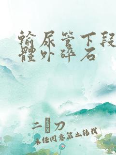 输尿管下段结石体外碎石