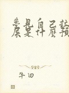 梦见自己拉一堆屎是什么预兆女性