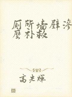 厕所墙壁渗水怎么补救