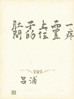 肚子上面一寸中间的位置疼