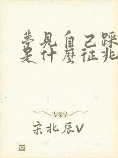 梦见自己踩到屎是什么征兆周公解梦