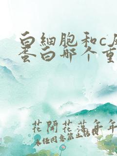 白细胞和c反应蛋白哪个重要