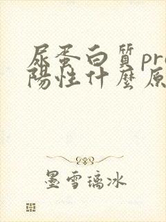 尿蛋白质pro阳性什么原因