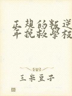 正规的叛逆青少年挽救学校