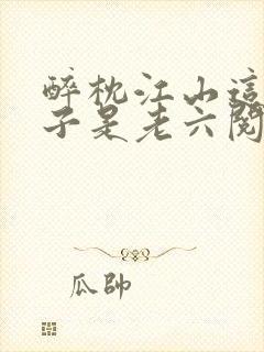 醉枕江山这个皇子是老六阅读