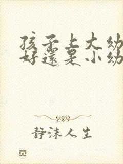 孩子上大幼儿园好还是小幼儿园好