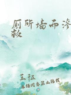 厕所墙面渗水补救