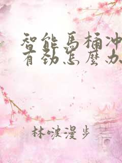 智能马桶冲水没有劲怎么办