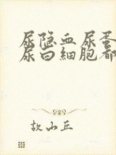 尿隐血尿蛋白质尿白细胞都高