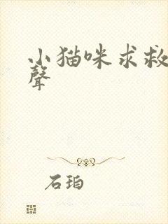 小猫咪求救的叫声