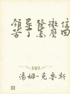 领导发微信说辛苦了怎么回复显得高情商