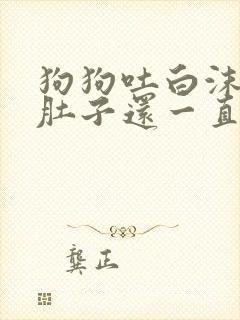 狗狗吐白沫而且肚子还一直叫