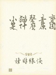 小猫声音变沙哑是什么原因