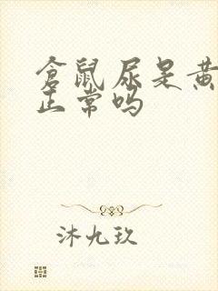 仓鼠尿是黄色的正常吗