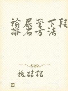 输尿管下段结石排石方法