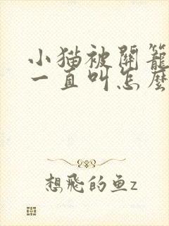 小猫被关笼子里一直叫怎么办