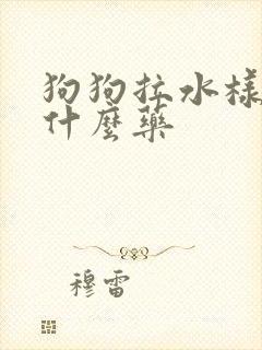 狗狗拉水样便吃什么药