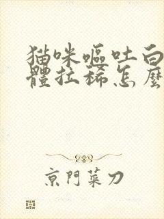 猫咪呕吐白色液体拉稀怎么办