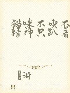 猫咪不吃不喝没精神只趴着怎么办