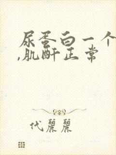 尿蛋白一个加号,肌酐正常