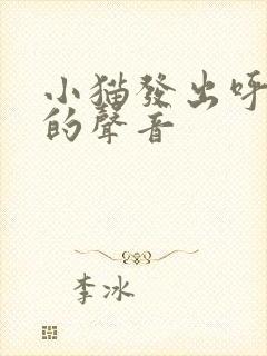 小猫发出呼噜噜的声音