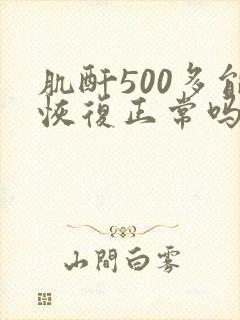 肌酐500多能恢复正常吗