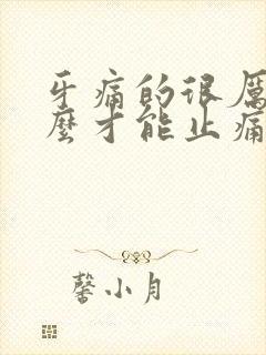 牙痛的很厉害怎么才能止痛