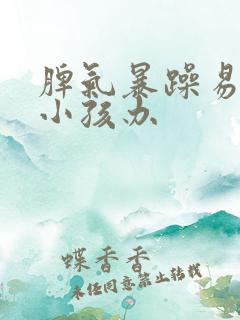 脾气暴躁易怒的小孩办