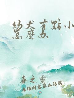 幼犬有点小感冒怎么办