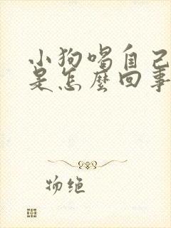 小狗喝自己的尿是怎么回事