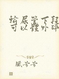 输尿管下段结石可以体外碎石吗