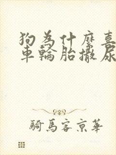 狗为什么喜欢在车轮胎撒尿