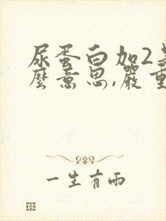 尿蛋白加2是什么意思,严重吗