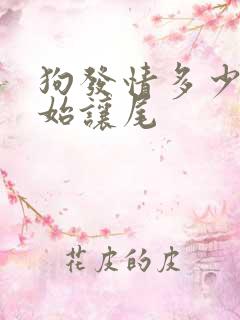 狗发情多少天开始让尾