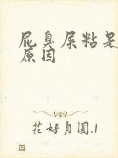 屁臭屎粘是什么原因