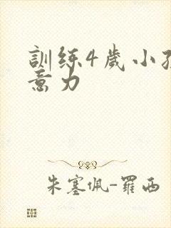 训练4岁小孩注意力