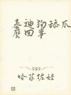 泰迪狗舔爪子怎么回事