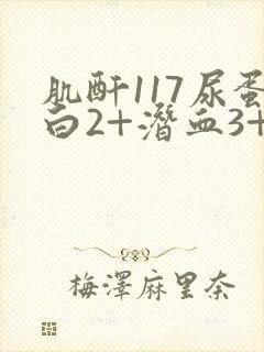 肌酐117尿蛋白2+潜血3+