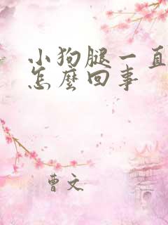 小狗腿一直抖是怎么回事