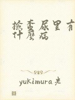 检查尿里有血是什么病