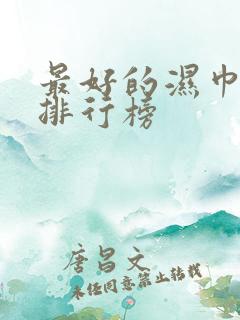 最好的湿巾品牌排行榜