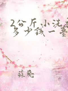 2公斤小洗衣机多少钱一台